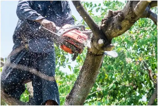 tree services Benson